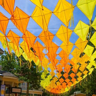 Kites