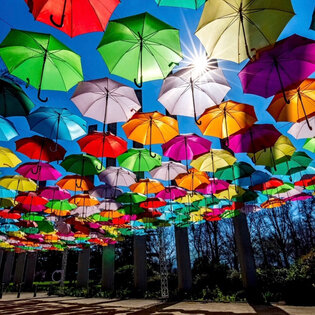 Umbrella SKY