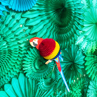 Jungle Style - Broekerveiling