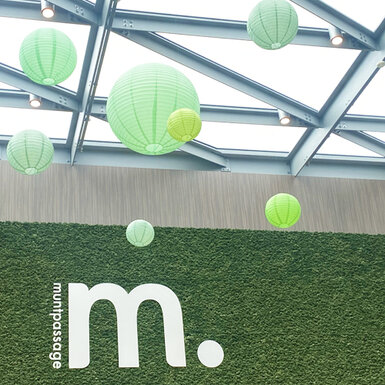 Muntpassage - Weert (NL)