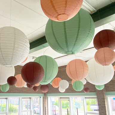 Stichting Felis - Deventer (NL)