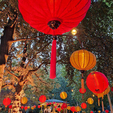 Lampions & Lichterkette in Artis (NL)