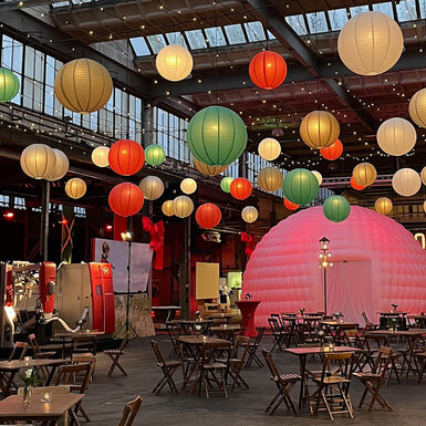 DRU fabriek - Ulft(NL) - Lely