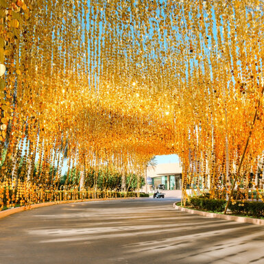 Dots Invasion Dots Invasion