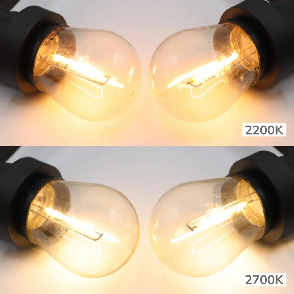 Warm witte dimbare filament lampen - 1 watt