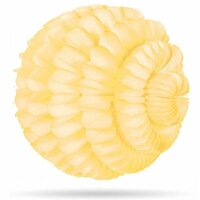 Wolkenball Pro Elfenbein 36cm