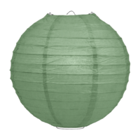 Lampion saliegroen 50cm