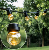 Warm witte LED lampen, LEDs in bodem, standaard transparante kap, &Oslash;45
