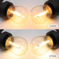 Warm witte dimbare filament lampen - 1 watt
