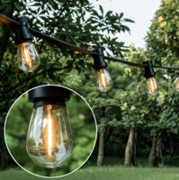 Warm witte dimbare filament lampen - 1 watt