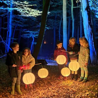 lampionnen met lampjes