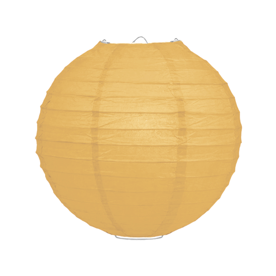 abrikoos 35cm