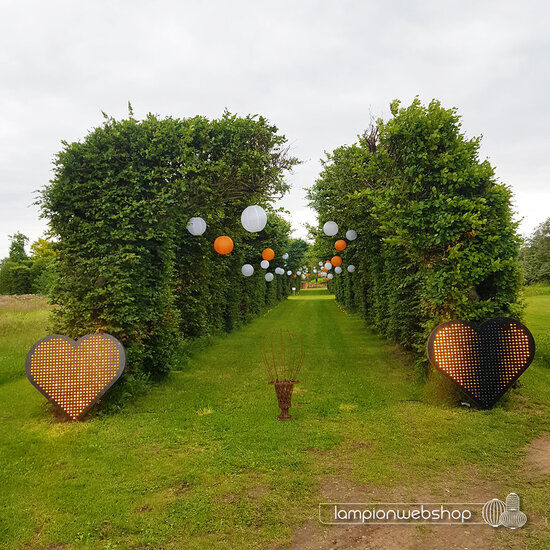 Bruiloft Dave en Wencke I