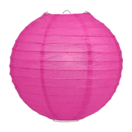 Lampion fuchsia 50cm