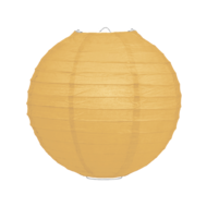 abrikoos 35cm