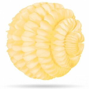 Wolkenball Pro Elfenbein 36cm Wolkenball Pro Elfenbein 36cm