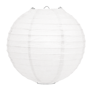 Lampion Weiß 50cm Lampion Weiß 50cm